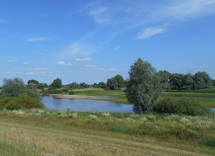 Strecke Elberadweg Nord