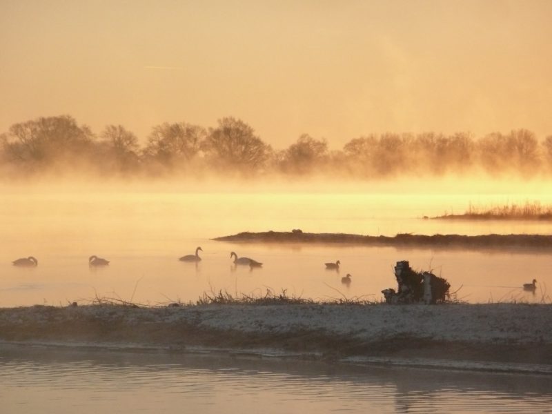 Sonnenaufgang über der Elbe bei Hitzacker